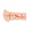 Мастурбатор вагина с утягивающими кольцами Crazy Bull «Rossi Flesh 3D»