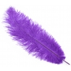Тиклер перышко фиолетовое, 28 см
