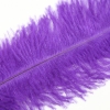 Тиклер перышко фиолетовое, 28 см