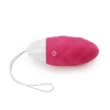 Перезаряжаемое виброяйцо IJOY Wireless Remote Control Egg