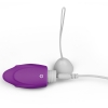 Перезаряжаемое виброяйцо IJOY Wireless Remote Control Rechargeable Egg