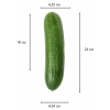 Большой реалистичный фаллос на присоске Skinlike Soft Cock 24 см, Ø 4,5 см