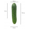 Реалистичный фаллос мулат на присоске Sliding Skin Dual Layer Dong, 19,5 см, Ø 3,7 см